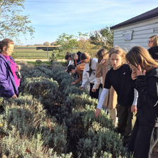 Lawendowa przygoda młodych ekologów. Dzień pełen natury i inspiracji!